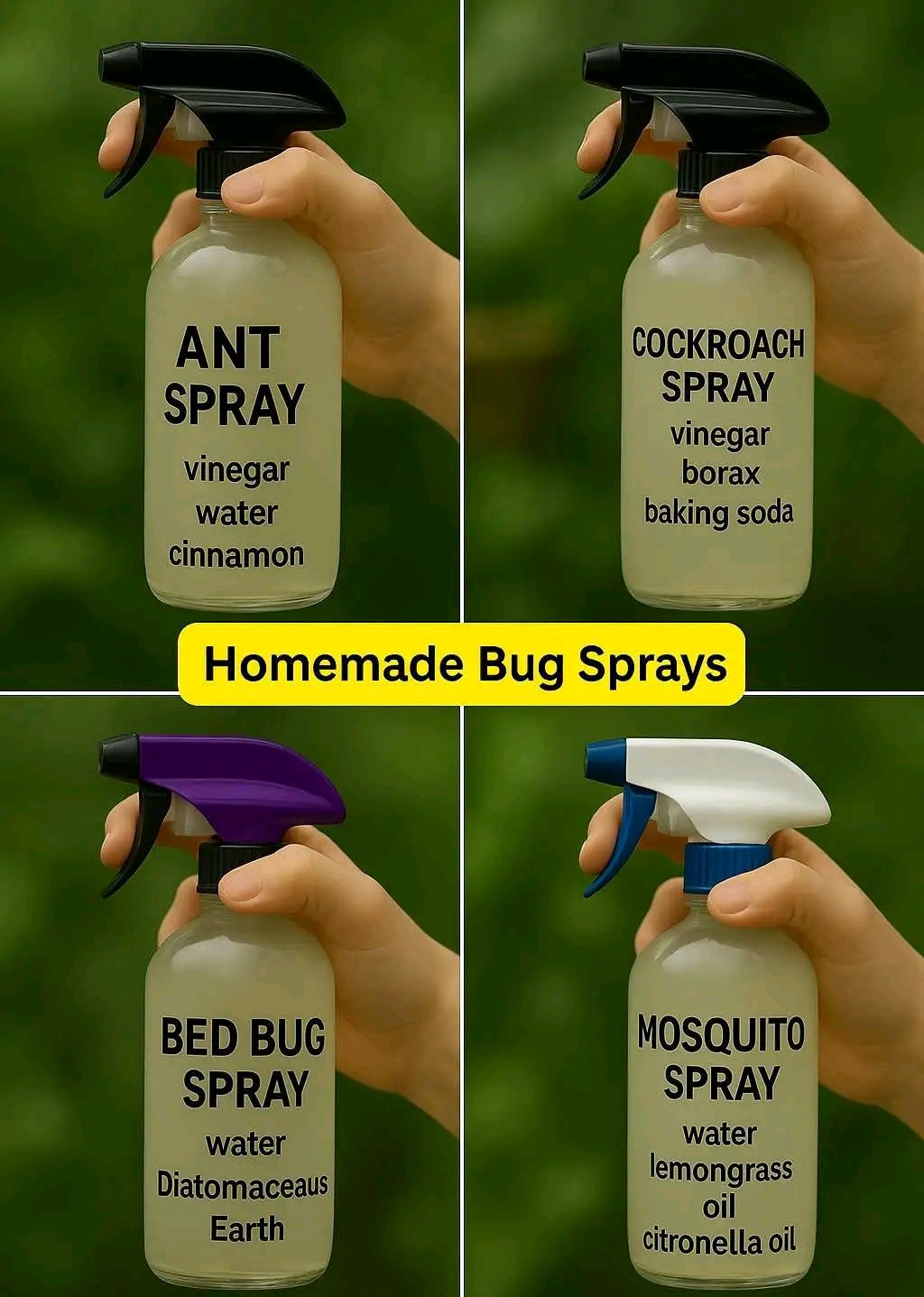 Natural Bug Sprays That Really Work: Safe, Homemade Solutions for Pests