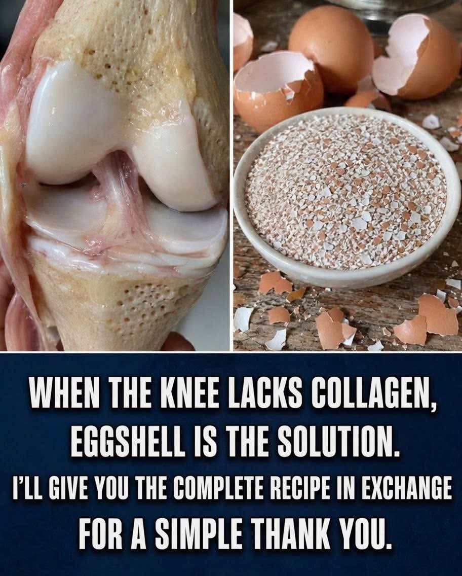 The Ultimate Guide to Eggshell Powder for Joint Health Fact vs Fiction