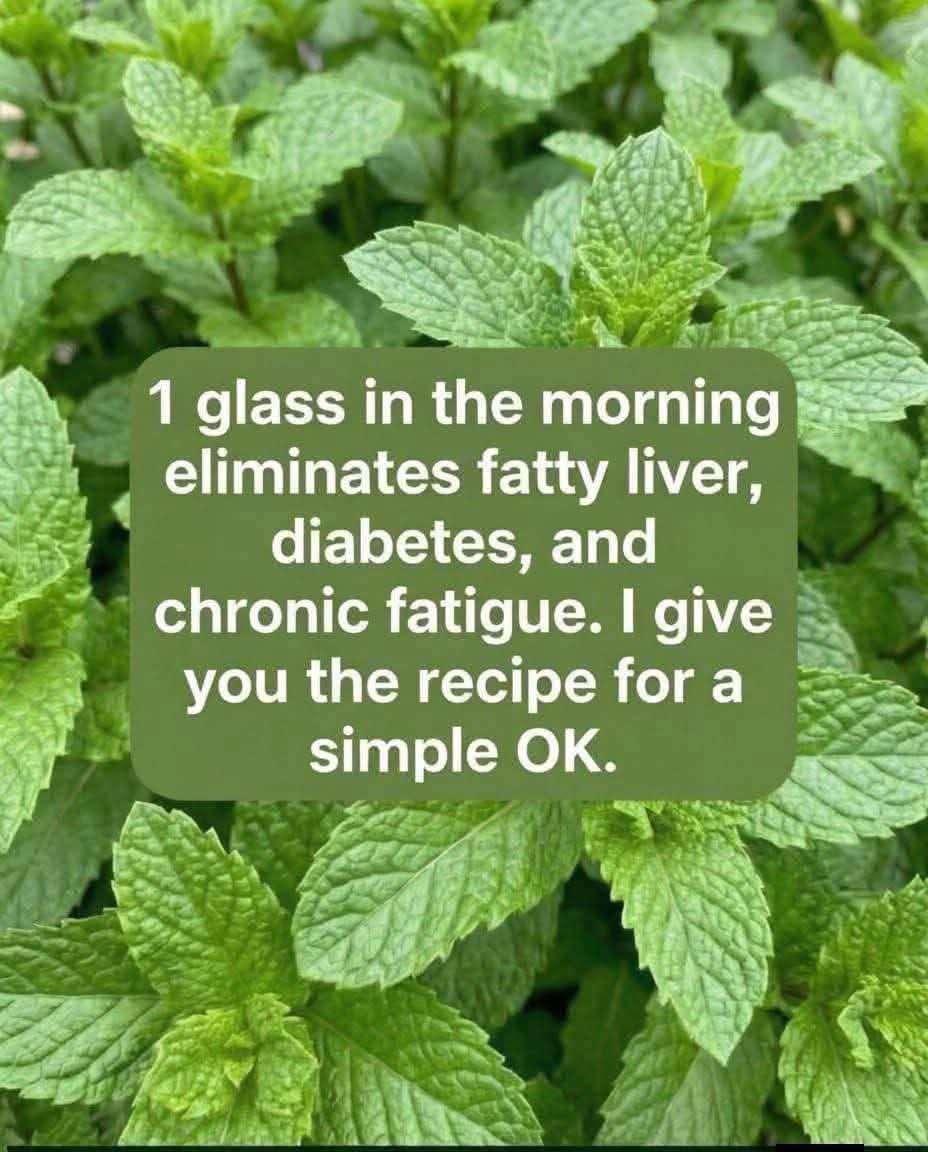 The Healing Greens A Comprehensive Guide to Traditional Mint Infused Wellness Remedies