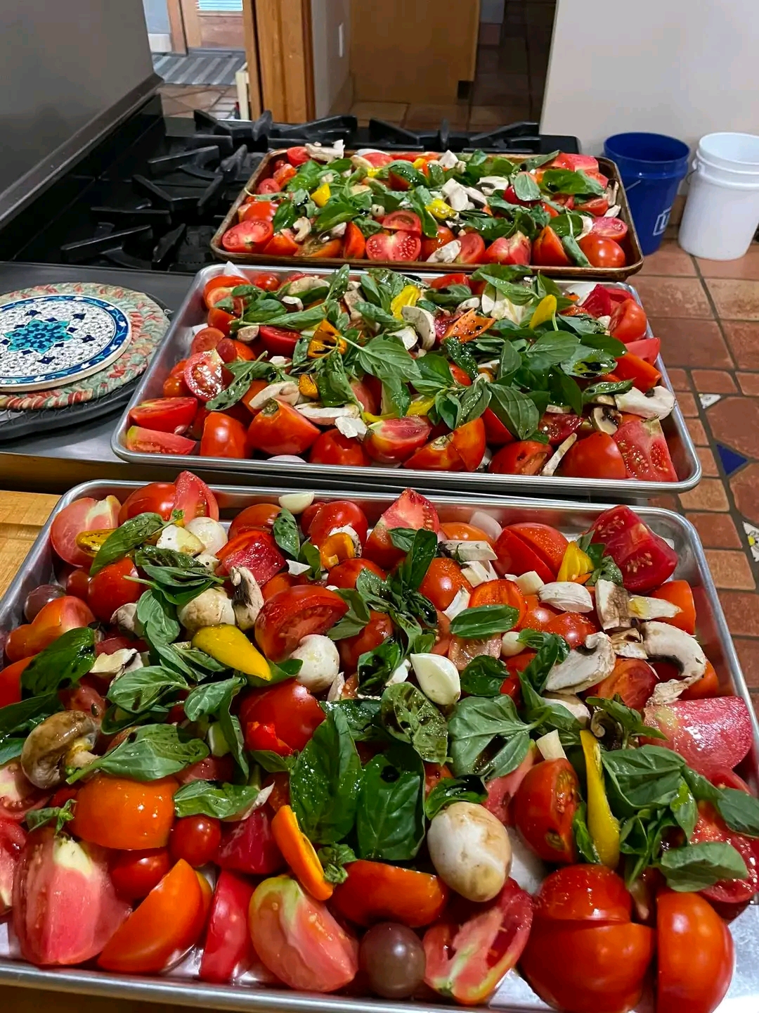 Roasted Tomato, Garlic & Vegetable Pasta Sauce 