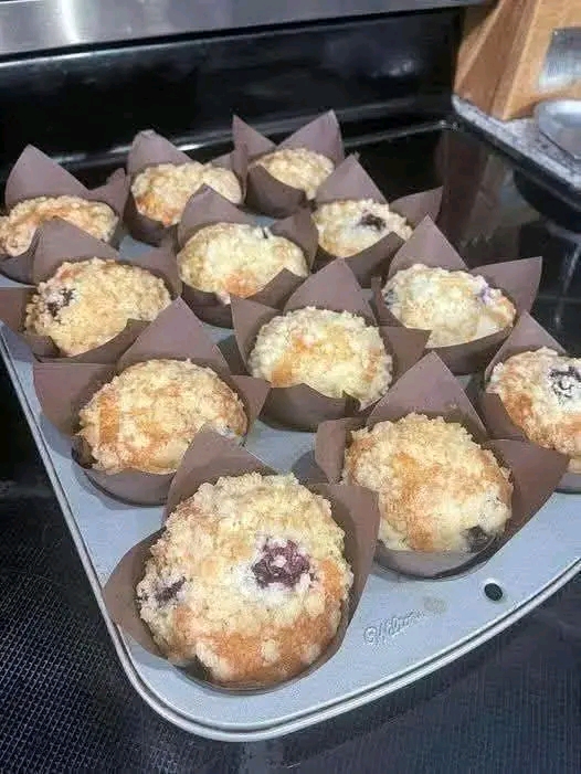 Blueberry Oat Protein Muffins