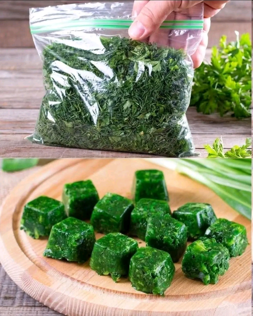 How to Keep Parsley and Cilantro Fresh for
